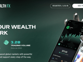 simple wealth fx